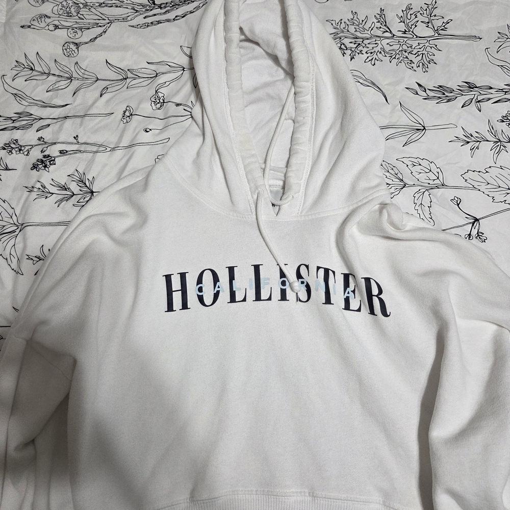 Hollister Hoodie Sweatshirt Women's L California Graphic Pullover Sweater CROP